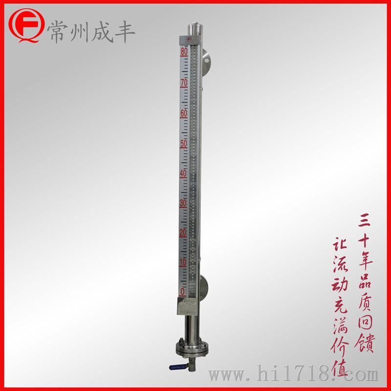 磁翻柱液位计