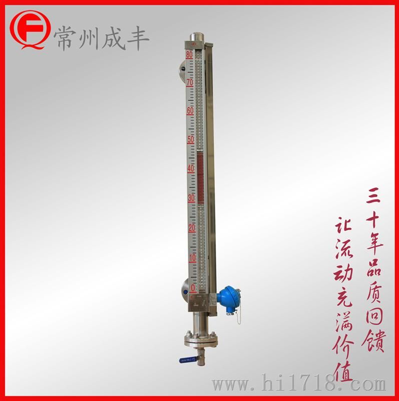 耐腐型磁翻板磁翻柱液位计