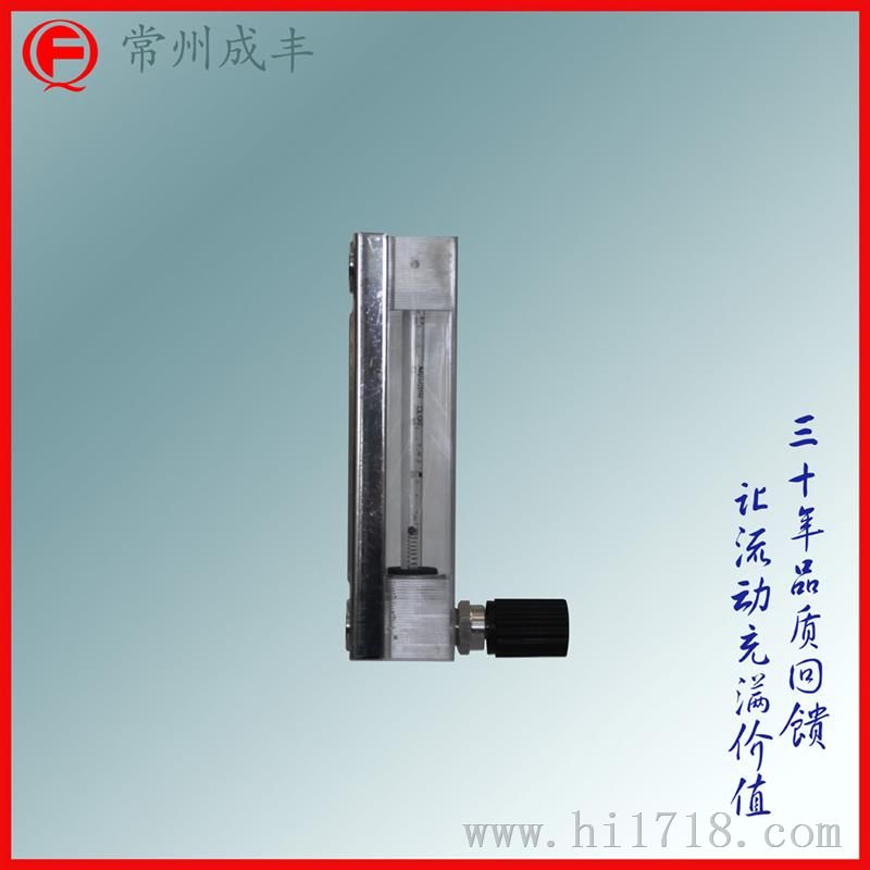 测微小流量玻璃转子流量计