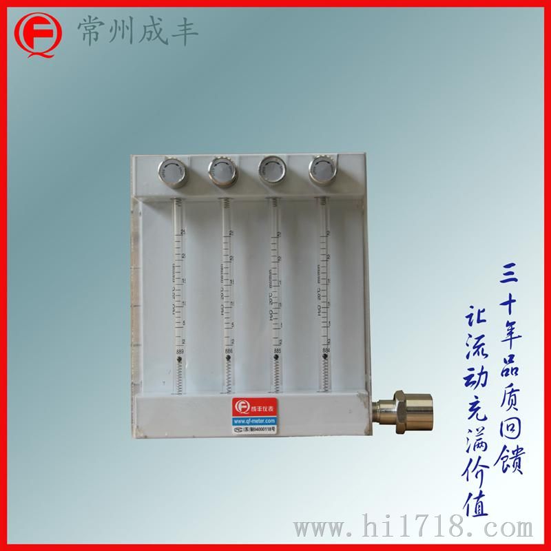 并联玻璃转子流量计