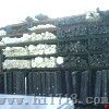 褐灰色peek板