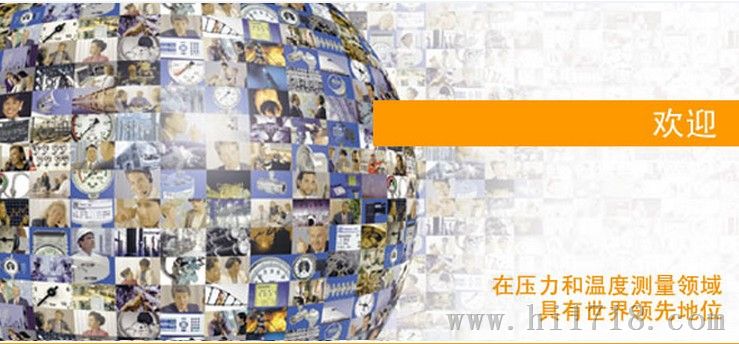 wika德国