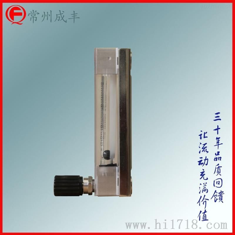 常州成丰浮子流量计