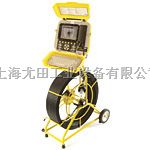 进口雷迪RD1000