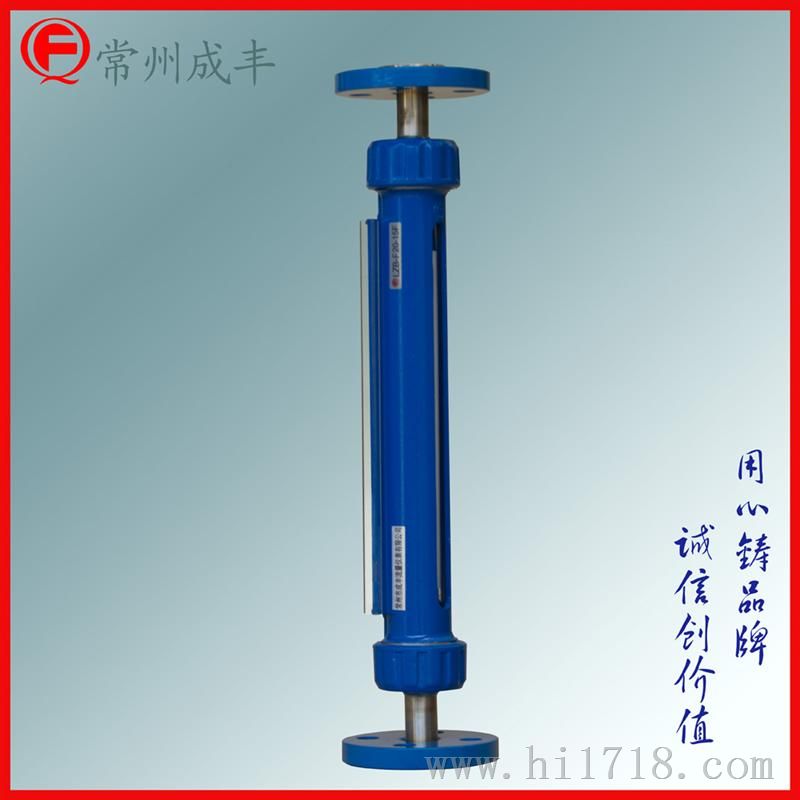 玻璃转子流量计 F20