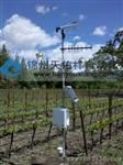 田间小气候气象站