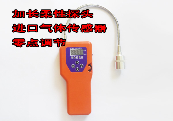 天然气检漏仪XH-B100A