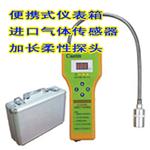 CA-2100H天然气测漏仪