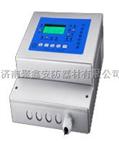 RBK-6000-2硫化氢报警器