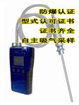 泵吸式液化气检测仪-MIC-800