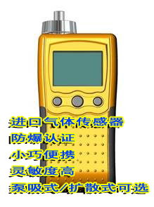 泵吸式液化气检测仪-MIC-800