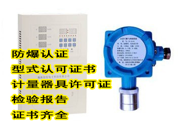 在线式液化气报警器CA2100D