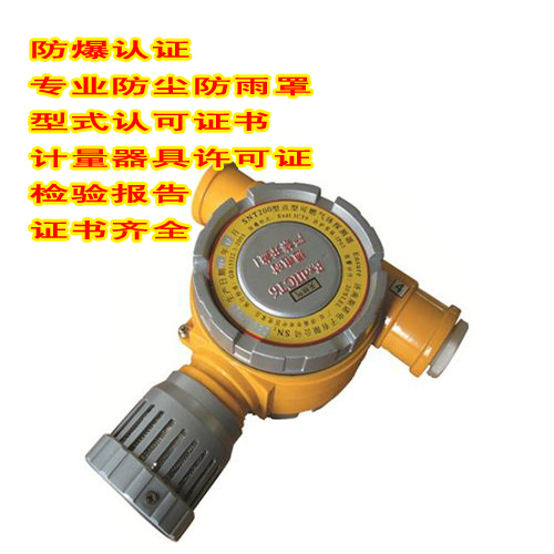 氢气报警器SNK6000