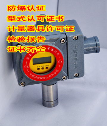 RBK-6000-2型氨气报警器