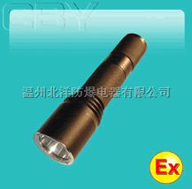LED防爆电筒