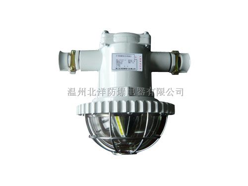 DGS矿用LED巷道灯