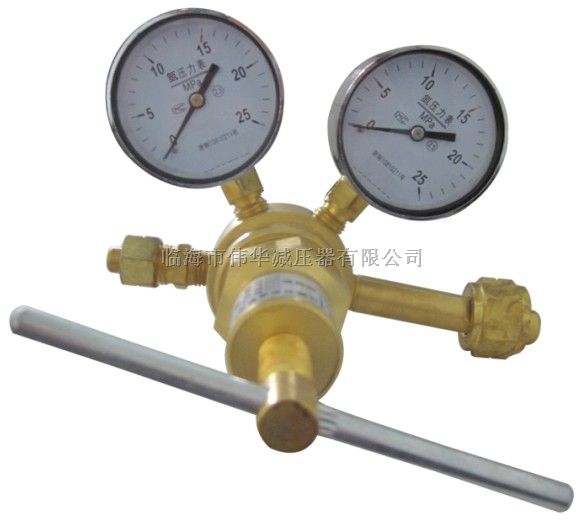YQQ-25高压氢气减压器