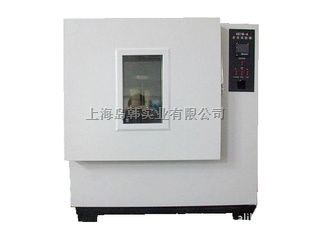 上海岛韩401B老化试验箱