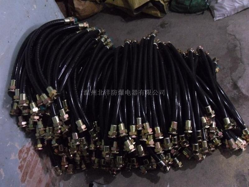 M20防爆挠性连接管