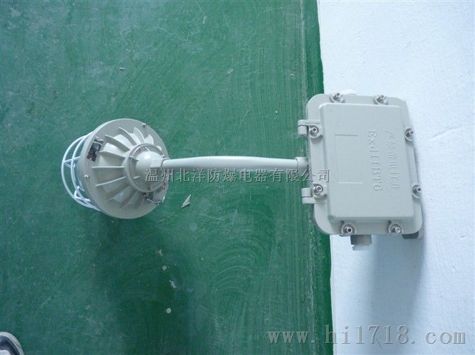 BAJ52防爆应急灯