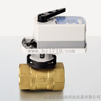 VAI6125西门子电动球阀