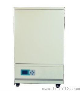 化培养箱BJPX-100型