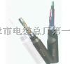 ptyy铁路信号电缆