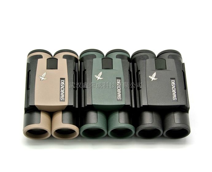 施华洛世奇CL Pocket10x25B