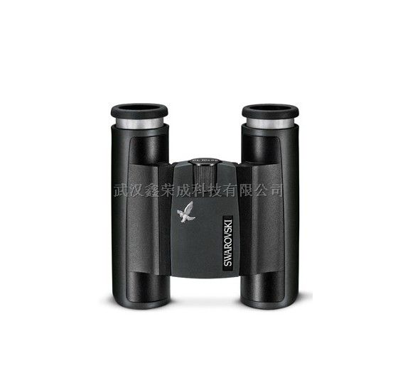 施华洛世奇CL Pocket10x25B