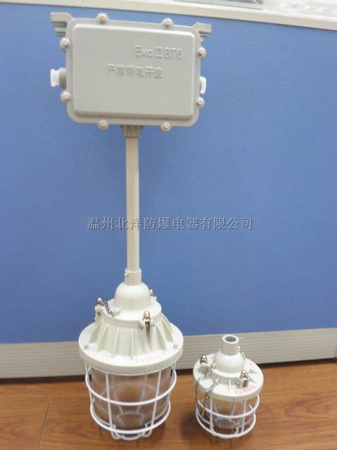 CBJ52防爆应急灯