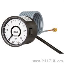 PGT02波登管压力表
