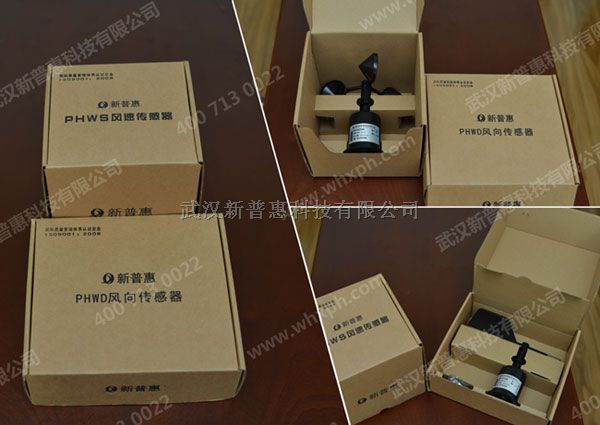 PHWS 风速传感器