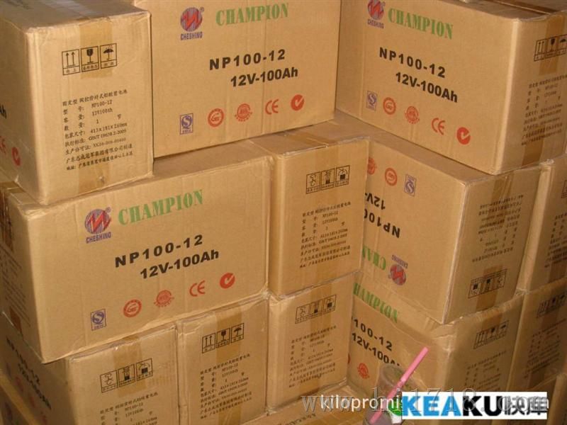 蓄电池NP100-12