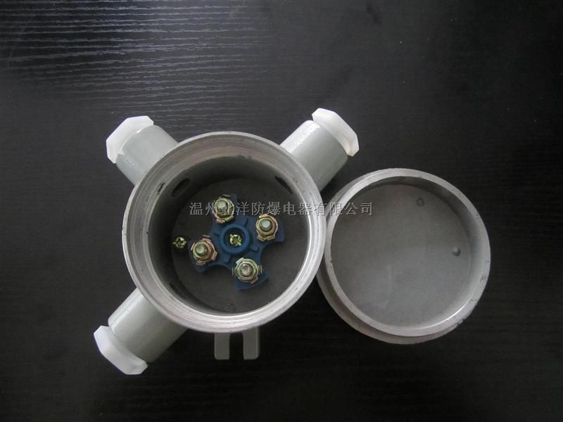 BHD51防爆接线盒