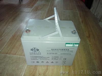 济南双登蓄电池 6-GFM-100