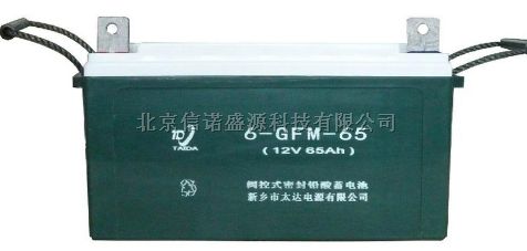 风帆蓄电池 6-GFM-65