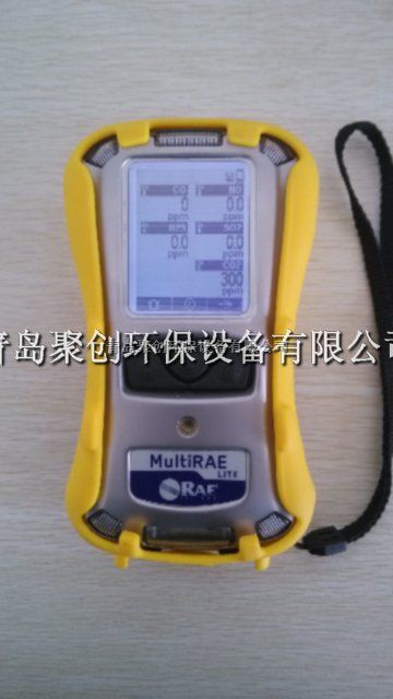 美国华瑞PGM-62XX 六合一有毒气体/射线检测仪