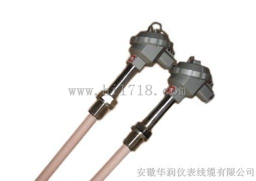 铂热电偶WRS-240