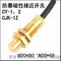 矿用防爆磁性开关