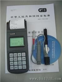 北京时代便捷式硬度计 HL-12A