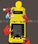 一泵吸式气体检测仪