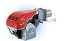 riello利雅路燃烧器RS130