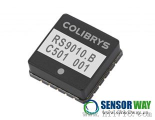 RS9010.B加速度传感器