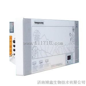 肯格王壁挂式空气消毒机