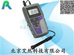 AR-DO6+手持式溶氧仪