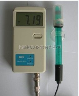 PHSB-300型便携式酸度计