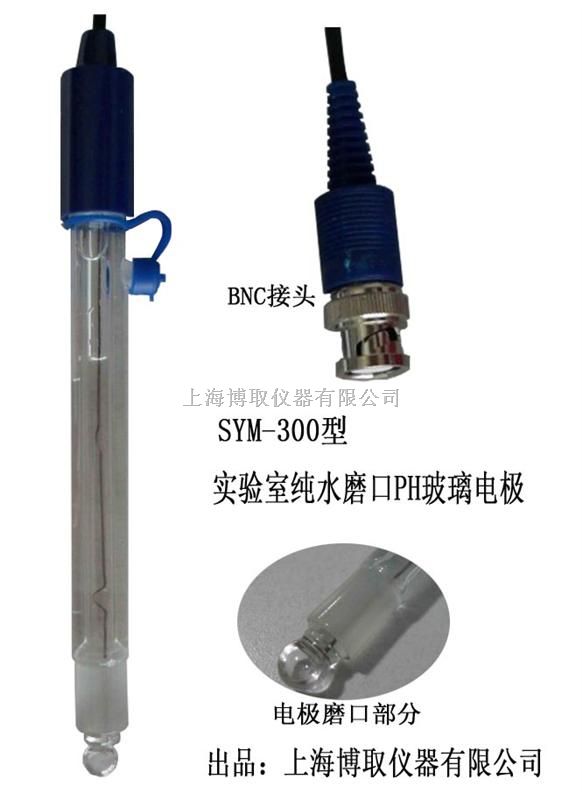 SYM-300实验室纯水PH电极