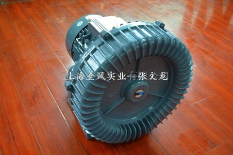 环形真空泵