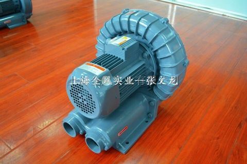 环形真空泵