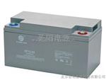 圣阳SP12-65AH胶体蓄电池12V65Ah